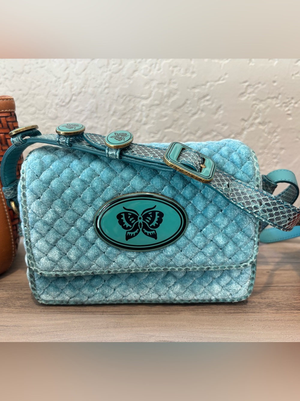 Louis Vuitton, Bottega Veneta, Hermes - Designer Bag Collection